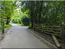 TQ3438 : Gate on Cuttinglye Lane by Robin Webster