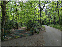 TQ3438 : Gated track, Cuttinglye Wood by Robin Webster