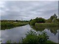 River Kennet over Kennet and Avon Canal