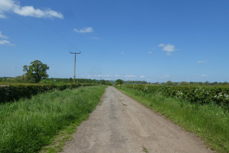 Electric poles along Foston Lane © DS Pugh cc-by-sa/2.0 :: Geograph ...