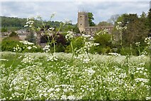 SP0228 : Cow  parsley and Winchcombe church by Philip Halling