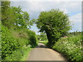 SU8238 : Smithy Lane, near Bordon by Malc McDonald