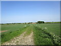 Farm track at Wire Hill