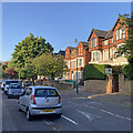 Zulla Road: red brick and horse chestnut spikes