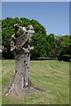 Carved Tree in Crescent Gardens