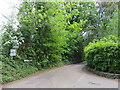 SU8438 : Lampard Lane, Churt, near Farnham by Malc McDonald