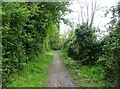 Bridleway, Fagbury Cliff