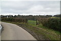 Footpath off Ellenwhorne Wood