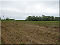 Field and woodland near East Lane Farm