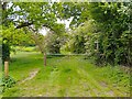 SU5667 : Midgham Park footpath by Oscar Taylor