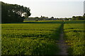 Path from Kiln Lane north towards Saxmundham