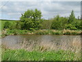 Farm pond at Halliburton