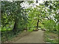 Cyclepath on the boundary of Wythenshawe Park