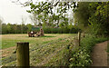 Remains of trees near Warlingham