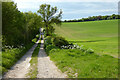 Track and farmland, Hurstbourne Tarrant