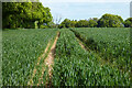 Farmland, Tangley