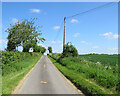 The road to Clavering Lakes