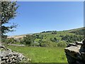 View across Cwm Taf