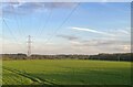 Power lines near Vale Farm