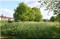 Park in Keresley Heath