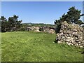 Atop the motte, Oswestry castle