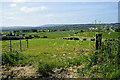 An open field, Archill