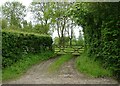 Gated track off Ipswich Road