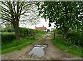 Track to Elm Tree Farm