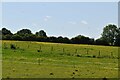 Field near Eltham Palace