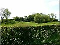 Old quarry area in modern fields