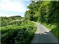 Looking back up the lane