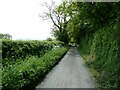 Lane approaching Ty-newydd farm