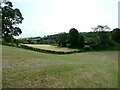 Walking in a field by the church in Llanyblodwel