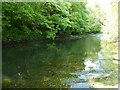 Part of the River Tanat / Afon Tanat at Llanyblodwel