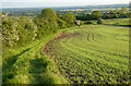 Farmland, Brill