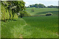 Farmland, Chilton