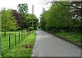 The Street, Huntingfield