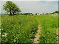 Footpath 191 at Cold Hill, Almondbury