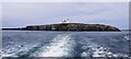 NU2135 : Inner Farne by Anthony Parkes