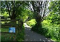 Path at Rake Brook reservoir