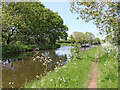 Shropshire Union Canal north-east of Codsall, Staffordshire