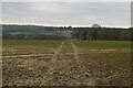 Footpath across field