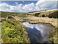 NZ6801 : Wetland on course of Rosedale Ironstone Railway by David Robinson