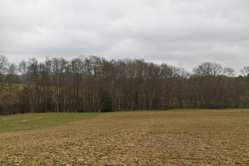 Wooded valley © N Chadwick cc-by-sa/2.0 :: Geograph Britain and Ireland