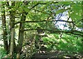 Footpath east of Abbey Village