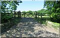 Entrance to a meadow