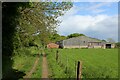 Weardale Way approaching High Butterby Farm