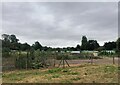 Allotments, Radcliffe on Trent