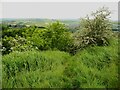 Permissive path between Footpaths 20/2 and 21/3, Honley