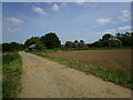 Farm track and old shed near Milcote